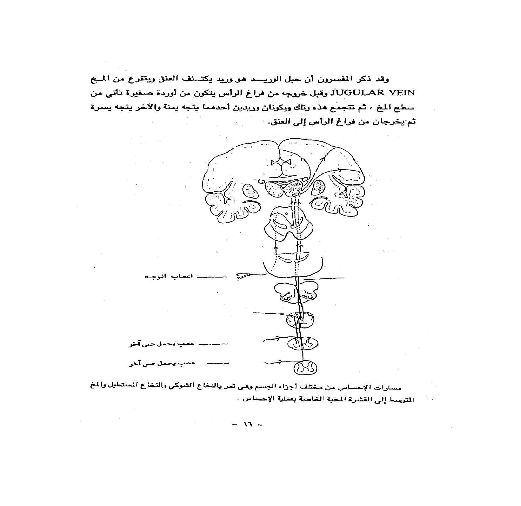 القرآن والصحة النفسية تأملات فى الآيات القرآنية المتعلقة بالصحة النفسية pdf - صورة ومقتطق الاكتروني من الكتاب
