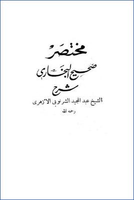 مختصر صحيح البخاري pdf