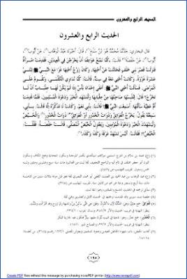 تردد الراوي وأثر ذلك في الرواية دراسة نظري0