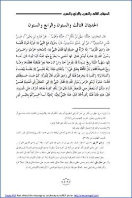 تردد الراوي وأثر ذلك في الرواية دراسة نظري3
