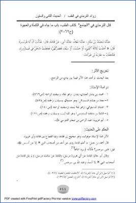 زوائد السنن الأربع على الصحيح76