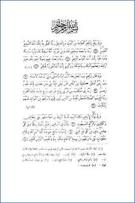 مرآة الحرمين أو الرحلات الحجازية والحج ومشاعره الدينية محلاة بمئات الصور الشمسية ج 01