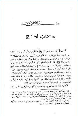 نصب الراية 3