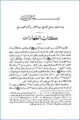 نصب الراية لأحاديث الهداية مع حا